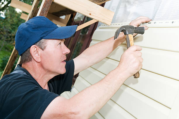 Best Stone Veneer Siding  in Marshall, MN